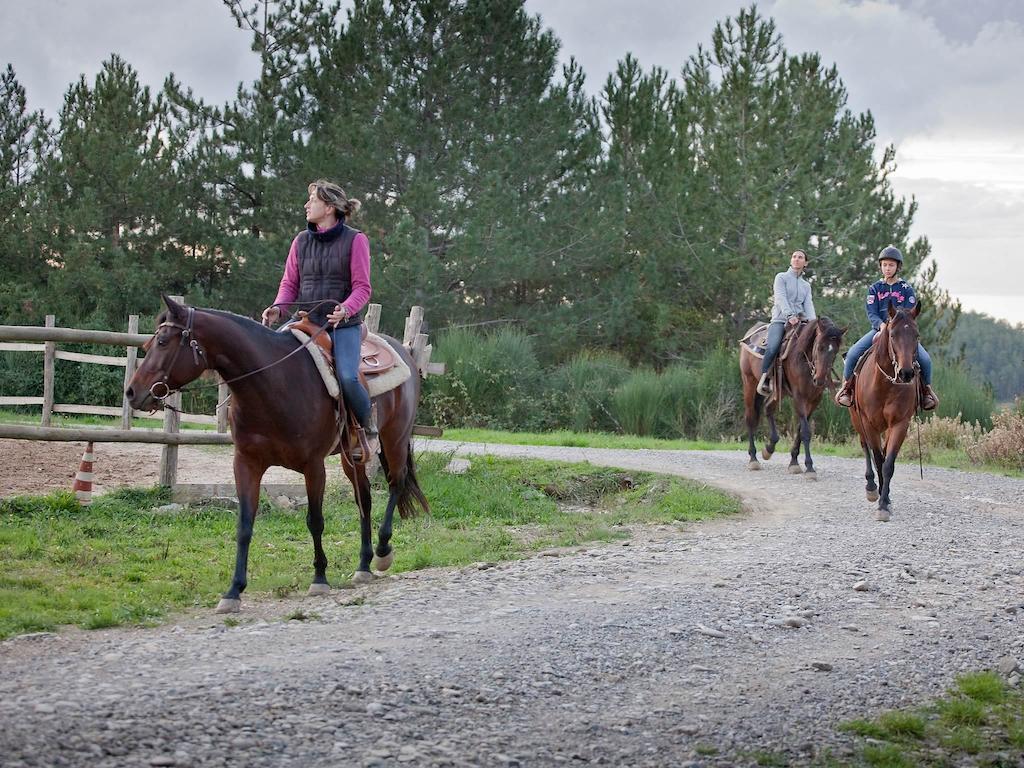 Tenuta La Silva Seggiano ภายนอก รูปภาพ
