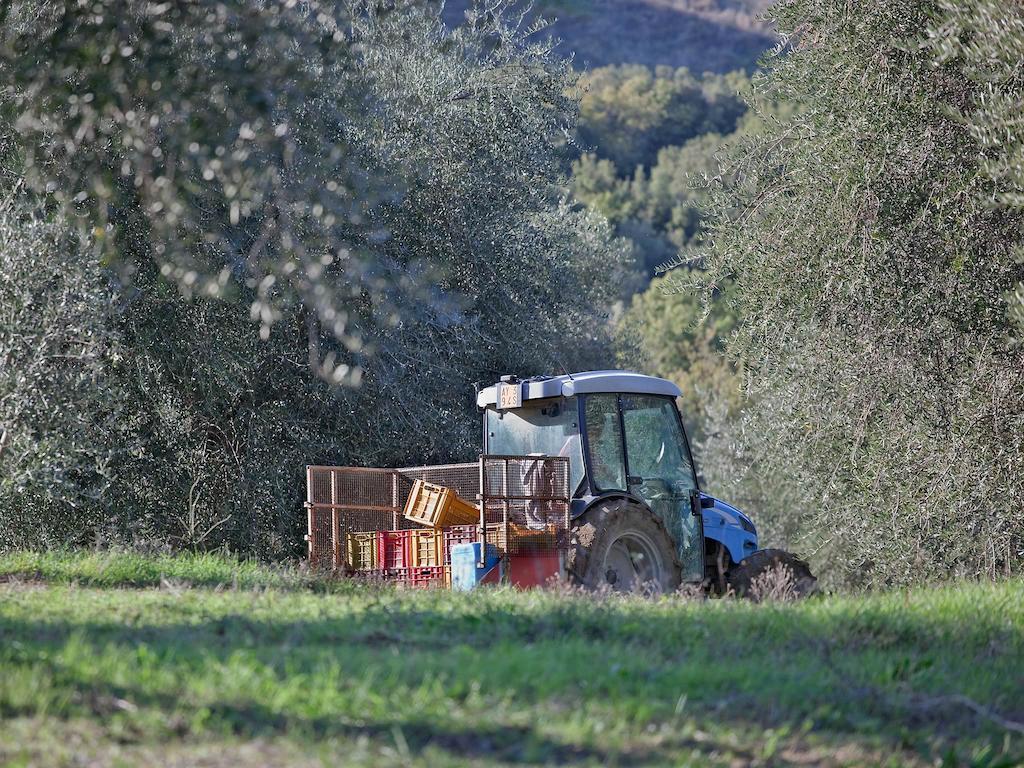 Tenuta La Silva Seggiano ภายนอก รูปภาพ