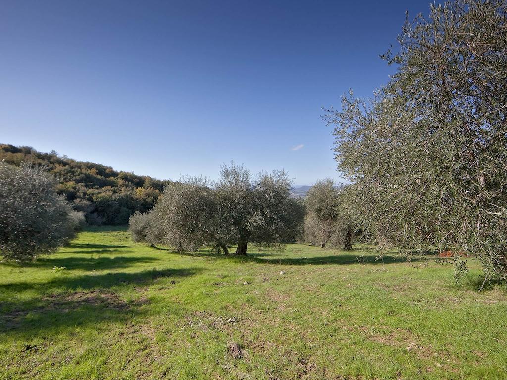 Tenuta La Silva Seggiano ภายนอก รูปภาพ