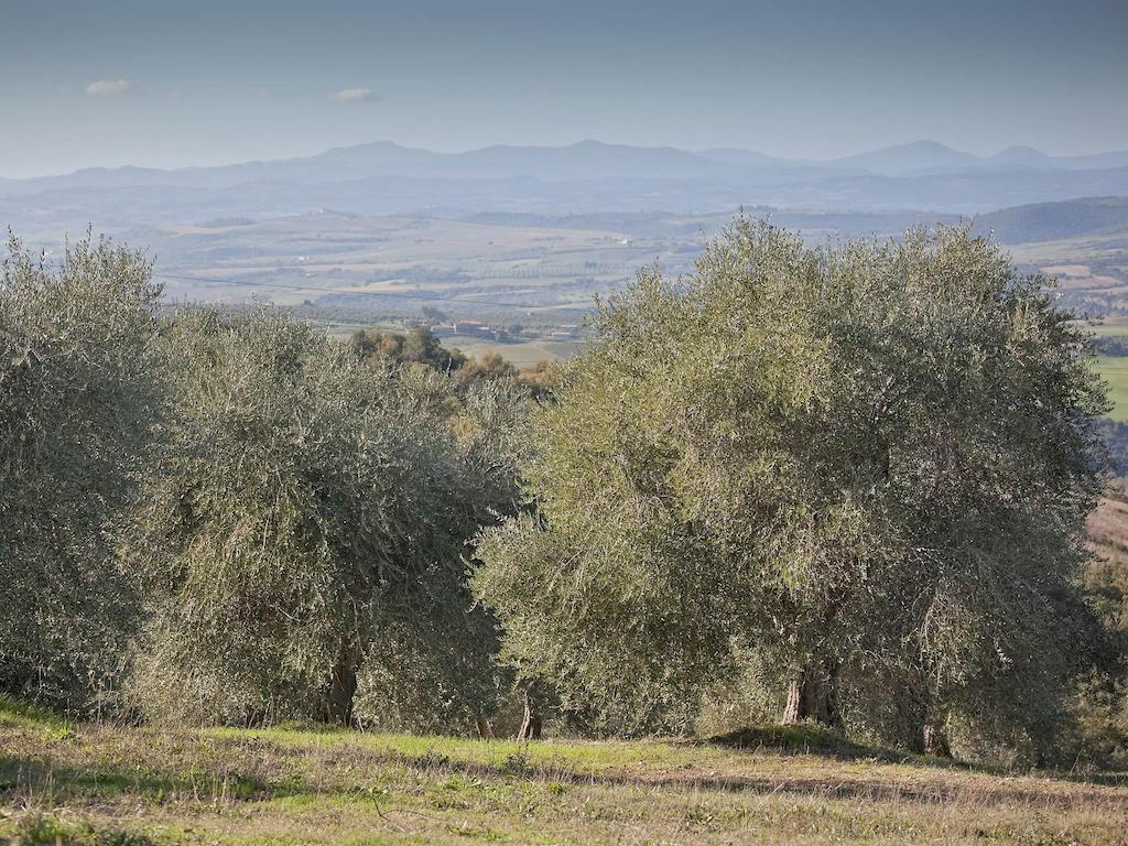 Tenuta La Silva Seggiano ภายนอก รูปภาพ