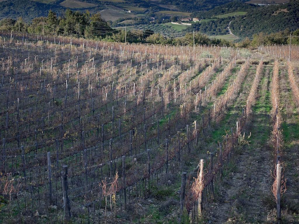 Tenuta La Silva Seggiano ภายนอก รูปภาพ